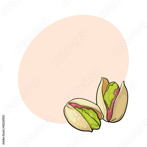 Two pistachio nuts, hand drawn sketch style vector illustration with space for text. Realistic hand drawing of pistachio nuts, vegetarian snack