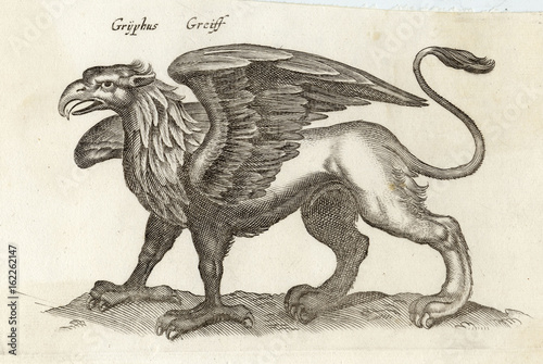 Folklore - Gryphon. Date: circa 1650 photo