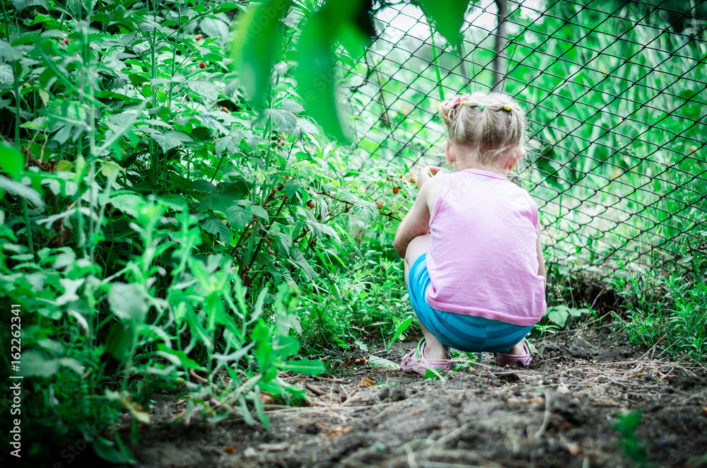 girl in a raspberry bush. Little girl collects raspberrie in the garden. Girl with raspberries. Raspberry bushes. Summer berry, Season of fruit, useful vitamins
girl in a raspberry bush. Little girl collects raspberrie in the garden. Girl with raspberries. Raspberry bushes. Summer berry, Season of fruit, useful vitamins
