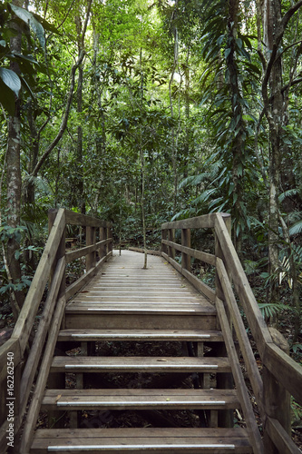 Wanderung durch deen Regenwald