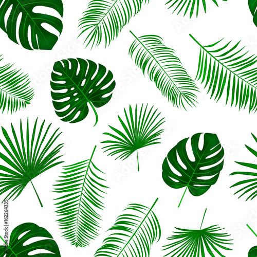 Seamless hand drawn vector pattern with green palm leaves on white background.