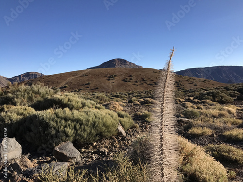 Landscape around Mount Teide