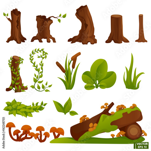 Set of stumps, mushrooms, grass