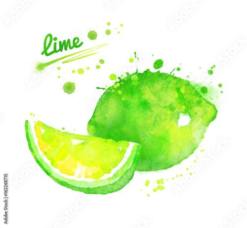 Hand drawn watercolor illustration of lime
