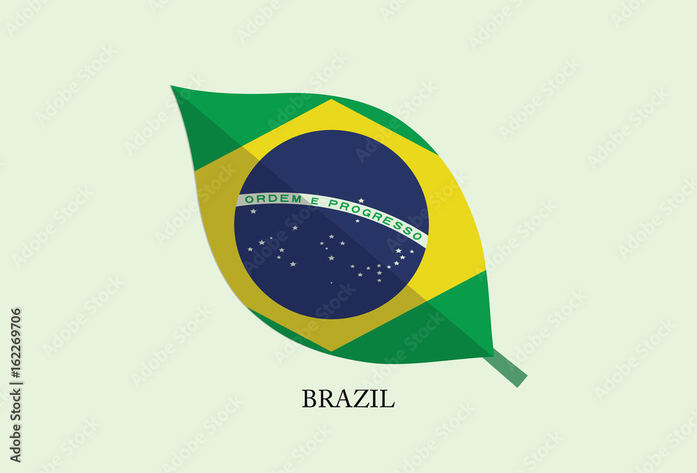 Obraz premium High detailed Leaves Flag vector – Brazil flag