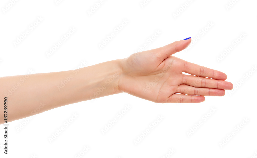 Female hand greeting.