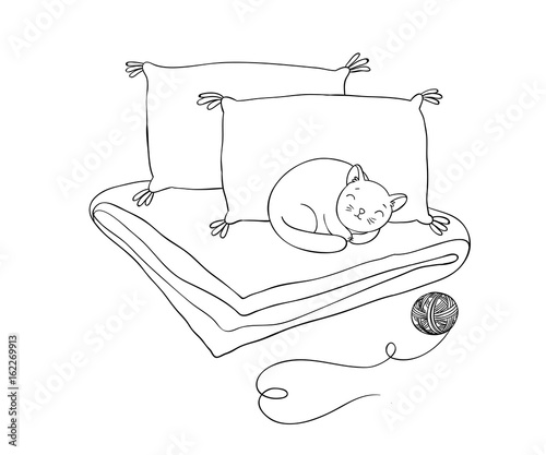 Beautiful pillows and cat on a white background.