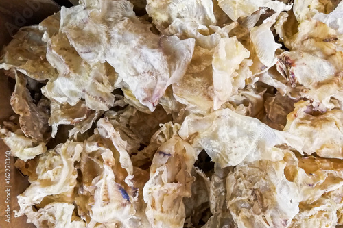 Dried fish maw or bladder, a delicacy in Chinese cuisine