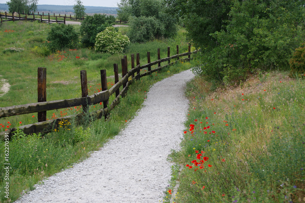 Rural walking path