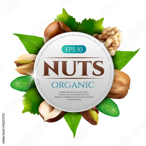 Vector frame of realistic nuts with leaves isolated on white background. Round frame of various nuts with place for text and logo