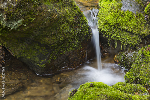 Fototapeta Naklejka Na Ścianę i Meble -  Detail shot of a small waterfall of the mountain creek Tro Maret in the Ardennes, Belgium.