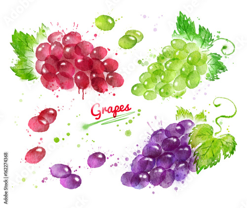 Watercolor collection of bunches of grapes
