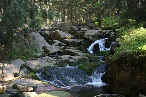 Harzer Wasserfall II