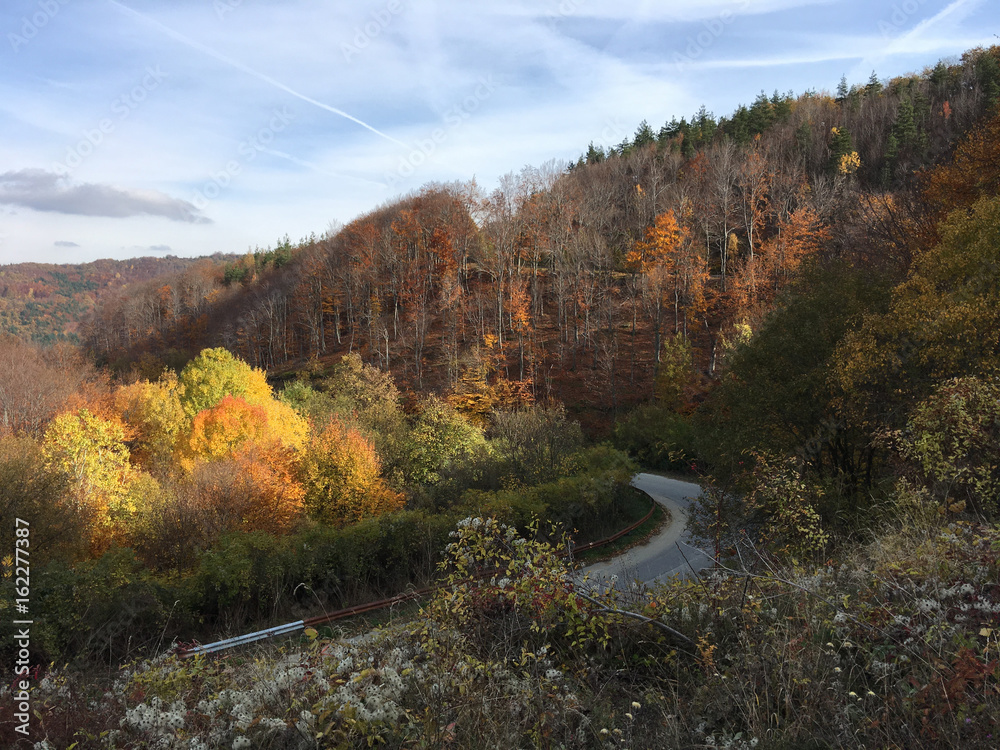 Road through an autumn landscape