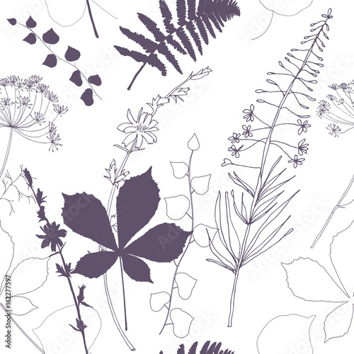 Vector floral seamless pattern  with  fireweed, chicory, dill flowers and fer...