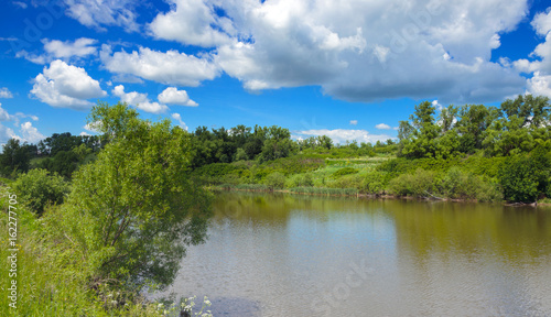 Fototapeta Naklejka Na Ścianę i Meble -  Sunny summer landscape with river