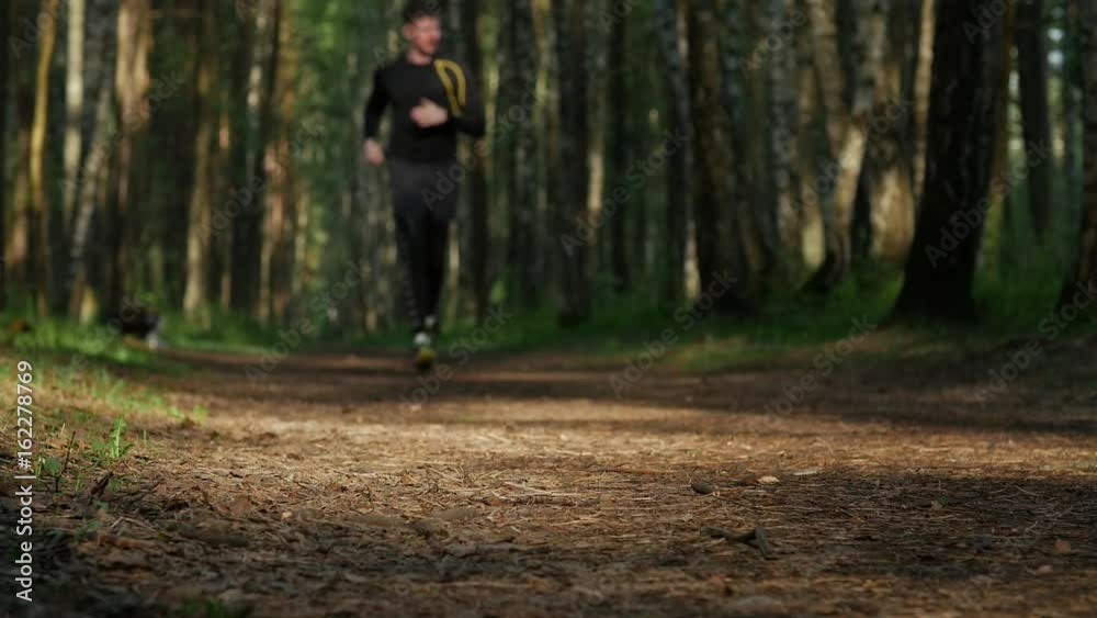 defocused mature man jogger running through forest in spring, morning defocused mature man jogger running through forest in spring, morning