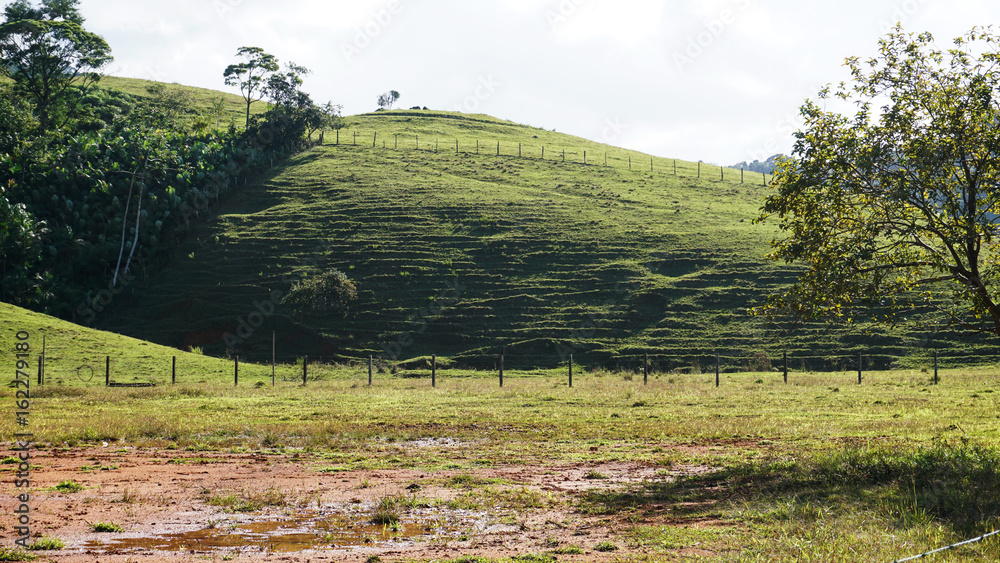 Fototapeta premium Hill in the pasture