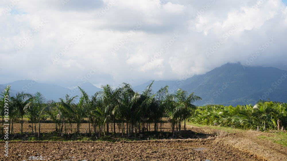 Obraz premium Mud fields