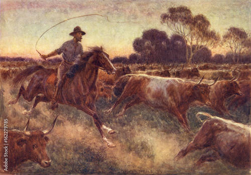 Cattle Rush in Australia. Date: 1910