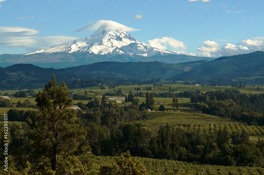 Mount Hood looming over the lush farmlands in the valley below known for their high quality fruit and berries.