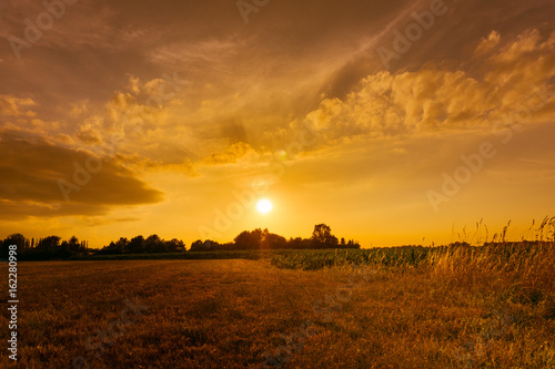 Goldener Sonnenuntergang   ber einem Feld 