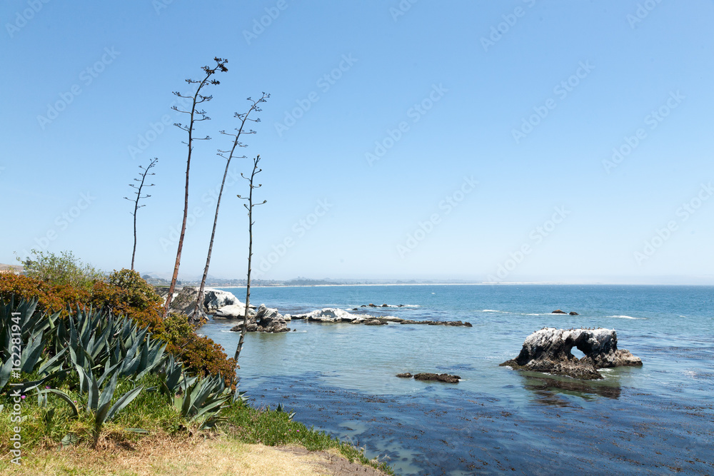 Seaside ocean view