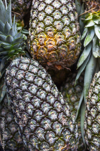 pinaples sold on bulk