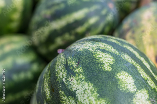 watermelon sales in bulk photo