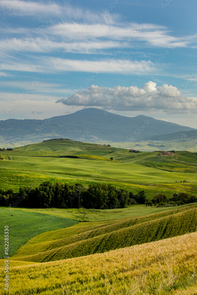 Fototapeta premium Tuscany scenery, Italy