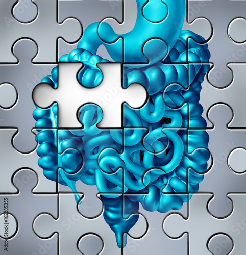 Tablou pe pânză Human Digestion Puzzle