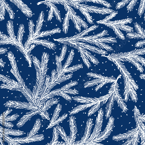 pattern of the frozen fir branches