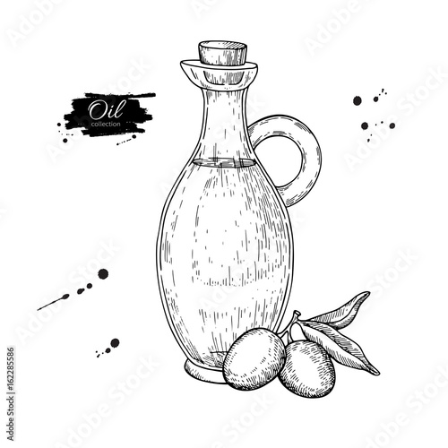 Bottle of olive oil and olive branch. Vector Hand drawn illustration. Glass pitcher vintage