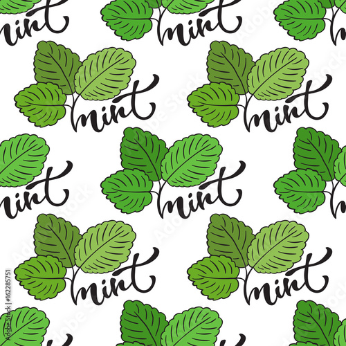 Seamless mint leaf pattern. Vector print for healthy product packaging design or surface texture.