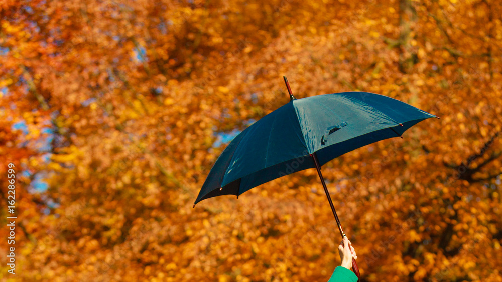 Human hand holding dark umbrella on autumn trees