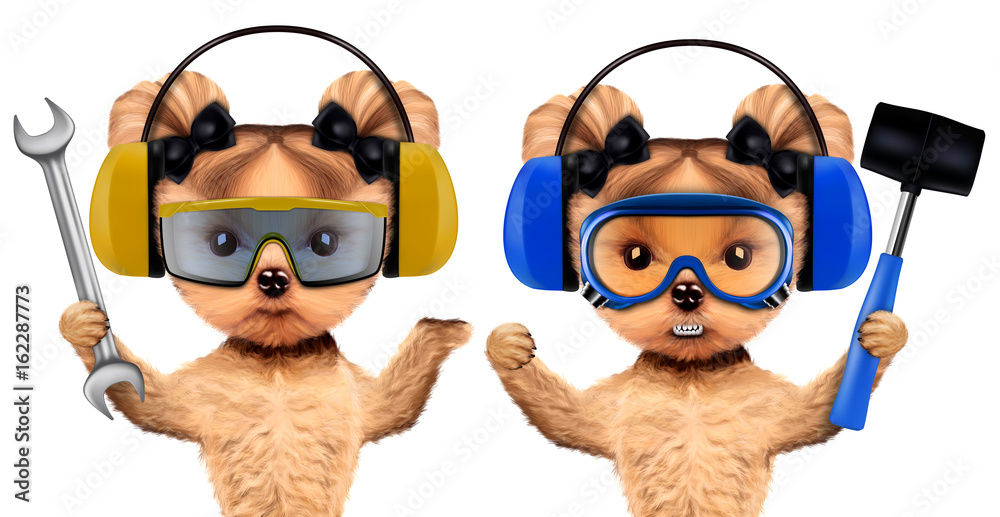 Fototapeta premium Funny dogs with wrench, hammer and headphones