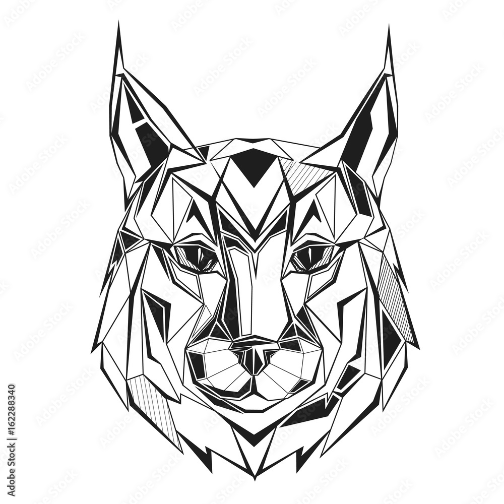 Obraz premium Lynx stylized triangle polygonal model