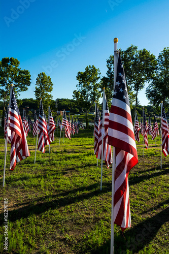 American flags in Honor Field,Danville,VA  photo