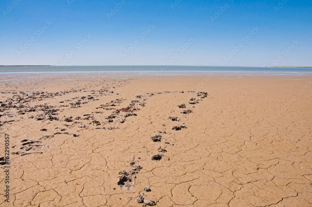 Footprints on a sandy beach Footprints on a sandy beach