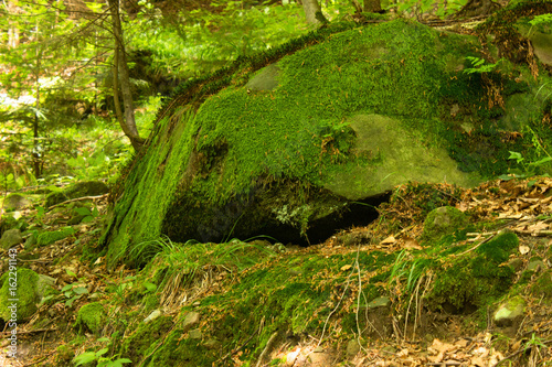 Mossy stone or green rock in mountain forest close up. Carpathian mountains, National Park Skole Beskids, Ukraine