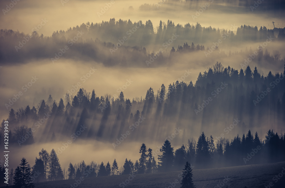 Fototapeta premium Mglisty krajobraz górski las rano, Polska