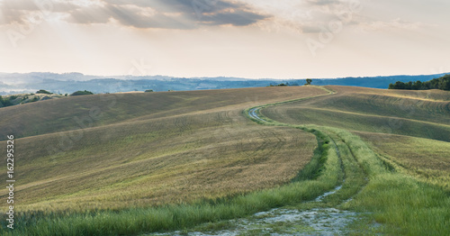 Obraz na płótnie ein Weg über die hügelige toskanische Landschaft w salonie