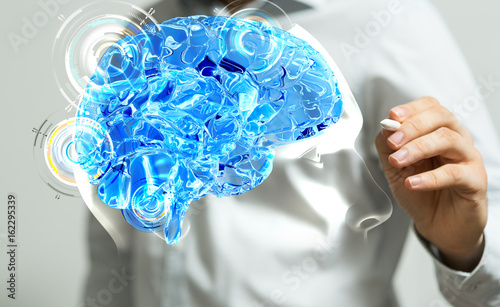 brain