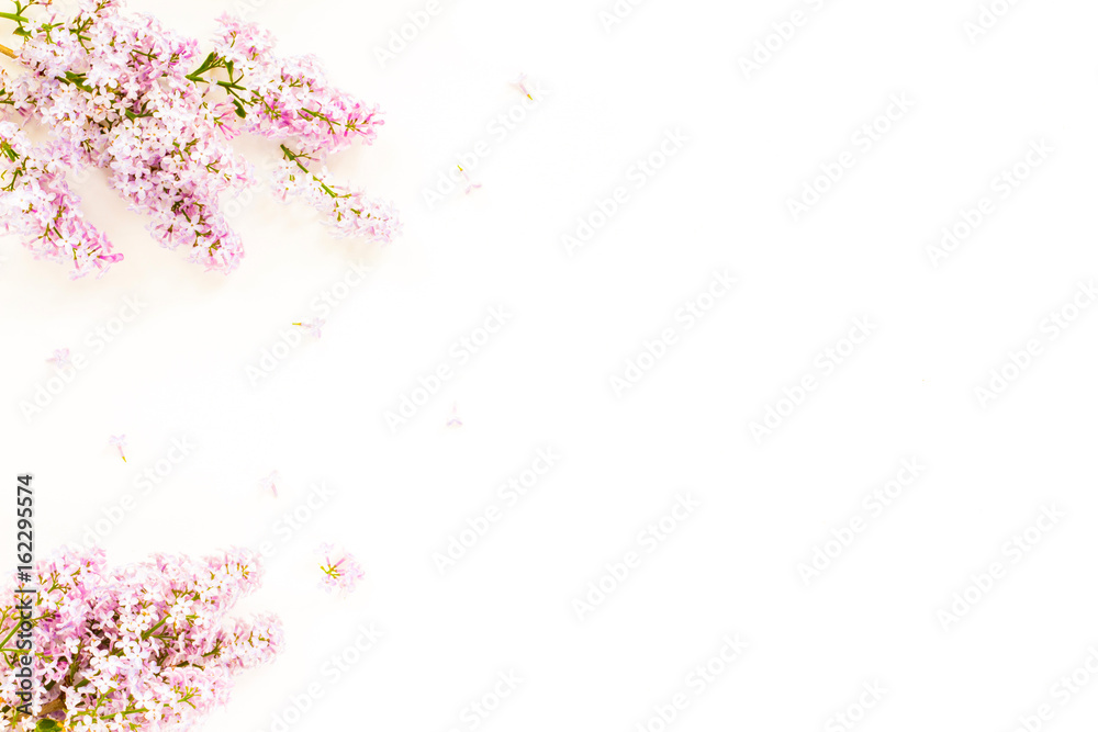 Flowers background. Lilac flowers on white background. Top view, flat lay, copy space Flowers background. Lilac flowers on white background. Top view, flat lay, copy space