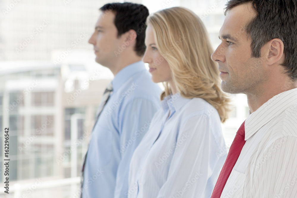Corporate business associates standing in a row Corporate business associates standing in a row
