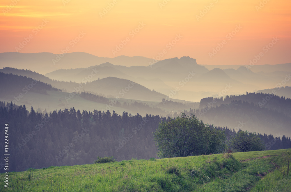 Moments before sunrise in misty Carpathian mountains, spring, Poland