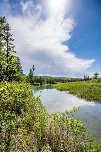 Griffith Woods Park