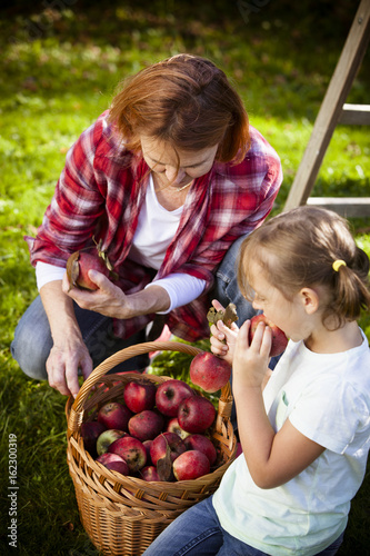 Grandmother and granddaughter picking apples, Munich, Bavaria, Germany