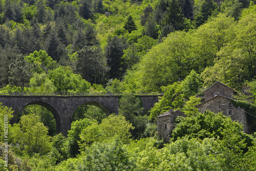 Pont et vieille maison au coeur de la forêt des Cévennes, département du Gard en région Occitanie, France