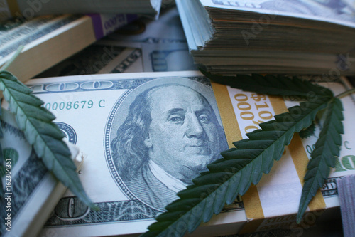 Marijuana Profits High Quality 